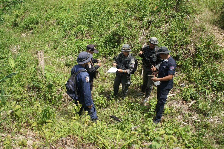 เจาะพื้นที่ยอดเขานายทุนรุกปลูกทุเรียนกลางป่ารอยต่อจังหวัดสงขลา-ยะลา