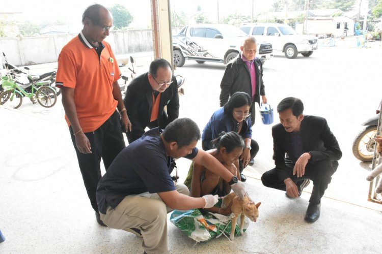 เทศบาลเมืองศรีสะเกษ นำทีมหมอสัตว์ฉีดวัคซีนป้องกันพิษหมาบ้า