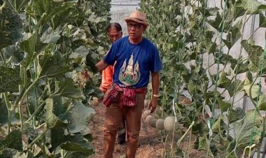 ประธานสภาเกษตรกรจังหวัดศรีสะเกษเยี่ยมให้กำลังใจสมาชิกเกษตรกรอินทรีย์ขุขันธ์