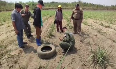 ระทึก!หนุ่มใหญ่พบลูกระเบิดขว้างกลางไร่อ้อยอุทัยธานี