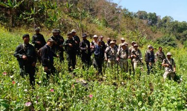 จนท.ลุยดับไฟป่าผงะเจอไร่ฝินชูช่อไม่รอช้าทำลายทิ้ง