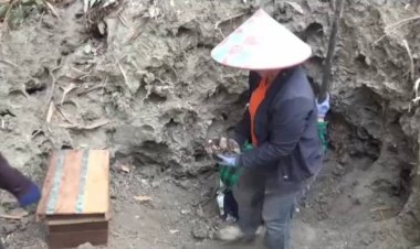 คนอุทัยธานีลุยขุดจอมปลวกยักษ์หาผึ้งชันโรงขายทำยาอายุวัฒนะ