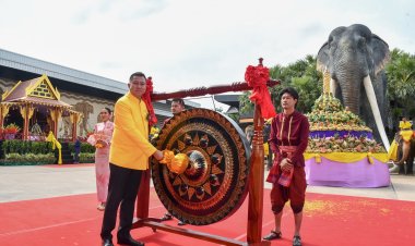สวนนงนุชชลบุรีจัดงานวันช้างไทยประชาชนและนักท่องเที่ยวแห่ร่วมคึกคัก