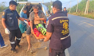 หนีตายสุดระทึก!ช้างป่าคลั่งไล่ตื๊บชาวบ้านเมืองแปดริ้วเจ็บปางตาย