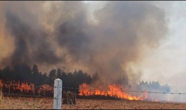 โคราชเผารายวันจุดความร้อนกระจายทั้งจังหวัด ค่าฝุ่น PM 2.5  พุ่งต่อเนื่อง กระทบสุขภาพ