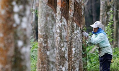 กองทุนฟื้นฟูถกเร่งส่งหนี้กองทุนวงเงิน 15,000 ล้าน อนุมัติยุครัฐบาล "ลุงตู่"