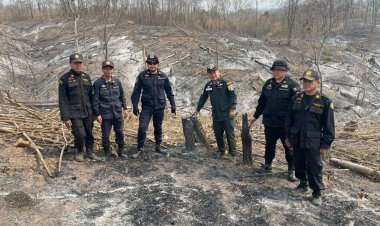 นายทุนเหิมหนักรุกป่าสงวนฯลำปาง ต้นไม้นับพันต้นถูกตัด เผาเหี้ยนยกดอย