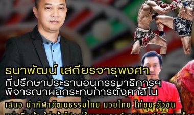 'ธนาพัฒน์' เสนอกีฬาพื้นบ้าน ผนวกมวยไทยไก่ชน วัวชน แข่งม้า เข้าเอนเตอร์เทนเมนต์คอมเพล็กซ์