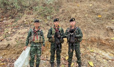 ทหาร ฉก.ราชมนูสกัดตรวจยึดหมีควาย 2 ตัวเตรียมส่งนอก