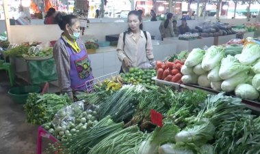 คนบุรีรัมย์จุกมะนาวพุ่งลูกละ 8 บาท ส่อขยับ 10 บาทเหตุร้อนแล้งผลผลิตออกน้อย