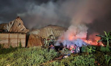 ระทึกกลางดึก! ไฟไหม้โรงงานเฟอร์นิเจอร์ย่านประเวศวอด สูญกว่า 4 ล้าน