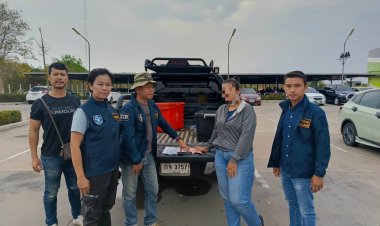 ตำรวจไซเบอร์บุกรวบสาวแสบรียูสซิมผี-บัญชีม้าส่งขายเว็บพนัน