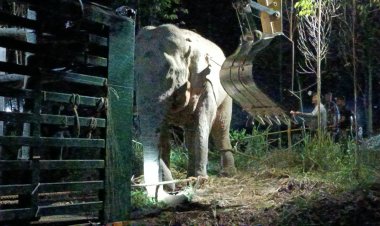 จนท.จับสีดอโหนกเพชรฆาตเคยฆ่าคนกลับถิ่นเดิมแปดริ้วกลางดึก