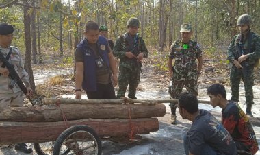 เจ้าหน้าที่เขตรักษาสัตว์ป่าห้วยศาลา 3 สนธิกำลังบุกจับแก๊งมอดไม้ลอบตัดไม้หวงห้าม 2 ราย