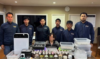 สืบนครบาลรวบเตชิตหนุ่มสถาปัตย์ลักลอบผลิตเห็ดขี้ควายขายออนไลน์