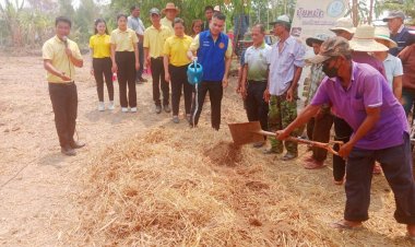 เกษตรกรไพรบึงพร้อมใจไถกลบตอซังหยุดเผาในพื้นที่การเกษตร