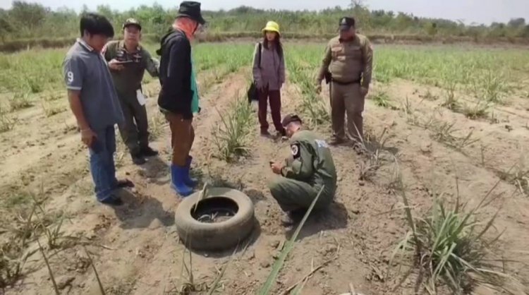 ระทึก!หนุ่มใหญ่พบลูกระเบิดขว้างกลางไร่อ้อยอุทัยธานี