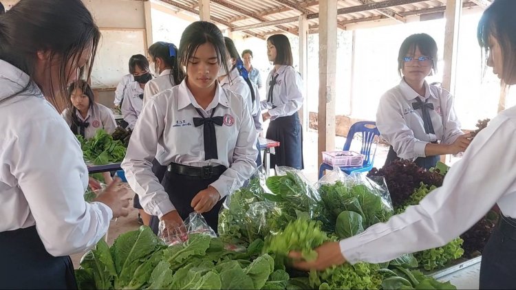 ครูโรงเรียนเสิงสางโคราชสอนนักเรียนปลูกผักไฮโดรฯขายสร้างรายได้ลูกค้าสั่งจองแน่น