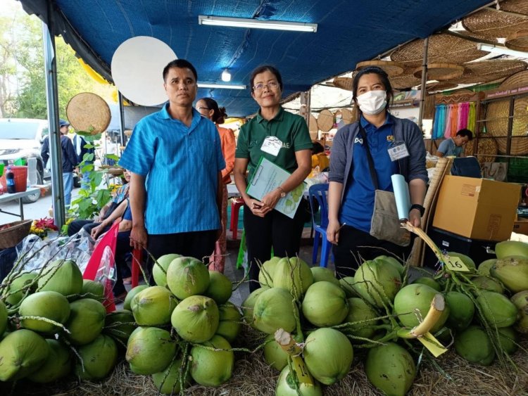 กษ.จังหวัดชัยภูมิ โชว์ผลงานการประกวดพืช ผลผลิตเกินความคาดหมาย