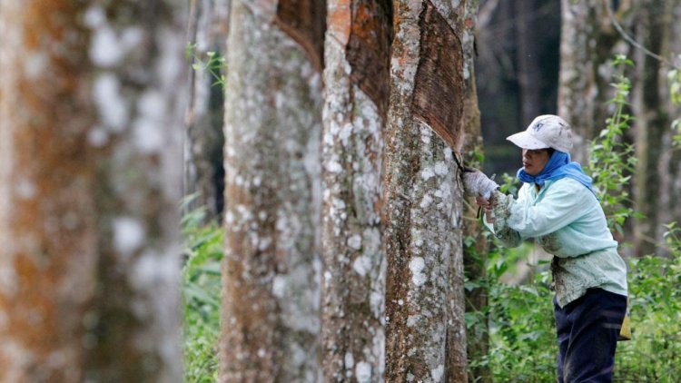 กองทุนฟื้นฟูถกเร่งส่งหนี้กองทุนวงเงิน 15,000 ล้าน อนุมัติยุครัฐบาล "ลุงตู่"