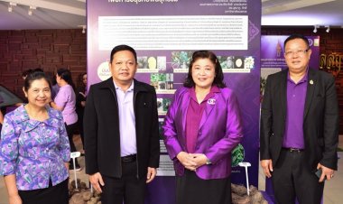 วช. สนองพระราชดำริ หนุน ม.นเรศวร ศึกษาพันธุกรรม “มันม่วง” ลดการสูญพันธุ์