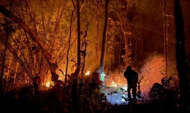 แม่ฮ่องสอนร้อนระอุ ไฟป่าปะทุแม่ยวม จนท.เร่งดับหวั่นลุกลามเข้าชุมชน