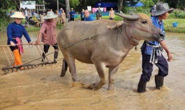 รัฐเทงบ 1.5 หมื่นล.ไม่เพียงพอแก้หนี้เกษตรกรต้อง 1 แสนล้านสางได้