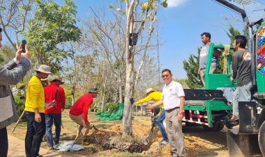 ชาววังน้ำเขียวร่วมปลูกต้นไม้กว่า 2 ต้นเฉลิมพระเกียรติในหลวงครบ 72 พรรษา