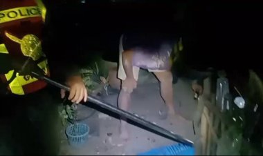 ยกย่องตำรวจห้วยคตเมืองอุทัยธานีล้อมจับงูจงอางปล่อยคืนสู่ป่า