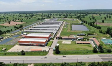 ซีพีเอฟ จับมือ อบก.  ร่วมเป็นองค์กรต้นแบบพัฒนาอุตสาหกรรมคาร์บอนต่ำ เพิ่มผลิตภัณฑ์อาหารสีเขียว