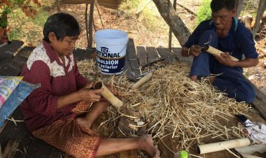 ข้าวหลามสูตรเด็ดโบราณ แม่ค้าพิมายขายดิบขายดีวันละ 1 พันบาท