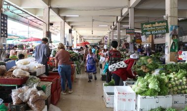 แล้งลามรุนแรง ขอนแก่นผักขาดตลาดราคาขยับ ผักชีพุ่งกก.ละ 200 บาท