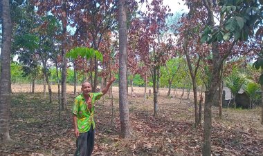 ฝนทิ้งช่วงยาวนาน ชาวบ้านควนเสาธง ขาดแคลนน้ำอุปโภคบริโภคยกตำบล