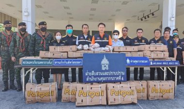 ศาลพิพากษา ลงโทษปรับหนักผู้ต้องหาคดีหมูเถื่อนคนละ 8.6 ล้านบาท