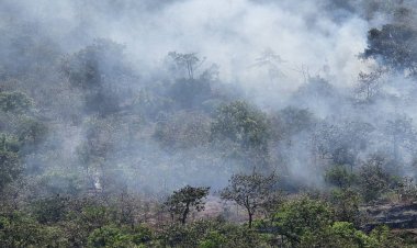ร้อนระอุทะลุเกิน 40 องศา ไฟป่าลามบนเทือกเขาสมอปูนบนเขาใหญ่กว่า 300 ไร่