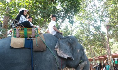 ปักหมุด!เปิดแล้ว “ปางช้างสุไหงบาลา” ช้างแสนรู้ คู่ชาวนราฯปางช้างแรกใน3 จังหวัดชายแดนใต้