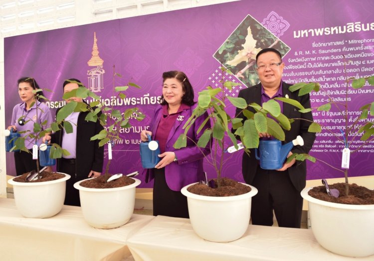 วช. น้อมสำนึกในพระมหากรุณาธิคุณ ร่วมปลูกต้นไม้เฉลิมพระเกียรติ “ต้นมหาพรหมสิรินธร"