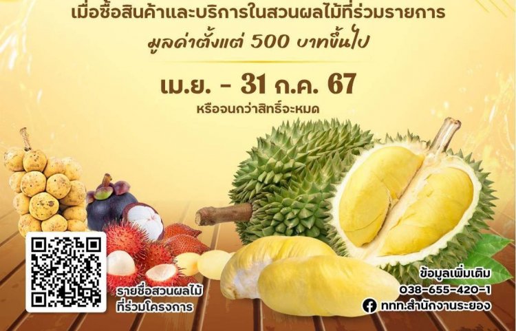 ททท.สำนักงานระยอง จัดให้โปรโมชั่นร้อนๆ รับ Summer ที่ทุกคนรอคอย มาแล้วววววววววว