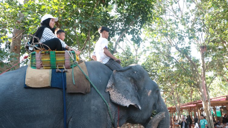 ปักหมุด!เปิดแล้ว “ปางช้างสุไหงบาลา” ช้างแสนรู้ คู่ชาวนราฯปางช้างแรกใน3 จังหวัดชายแดนใต้