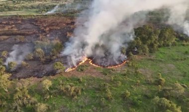 ไฟไหม้ป่าพรุควนเคร็งเมืองคอนลามเสียหายแล้ว 15 ไร่