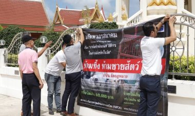 เลขา TSPCA แจงกรณีการห้ามปล่อยสัตว์ในวัด