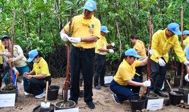 ชลบุรีจัดกิจกรรมจิตอาสา "เราทำความดี ด้วยหัวใจ" เฉลิมพระเกียรติในหลวง