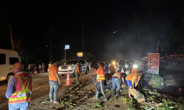 ฝนกระหน่ำโค่นต้นไม้ใหญ่ล้มขวางทางขึ้น-ลงเขาใหญ่ รถติดยาวนับกม.กลางดึก