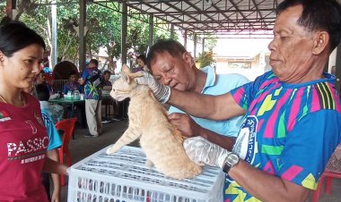ทต.พิมายเร่งฉีดวัคซีนป้องกันโรคพิษสุนัขบ้าให้หมา-แมวลดเสี่ยงเสียชีวิต