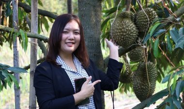 ออเดอร์ทุเรียนบึงกาฬทะลัก  ชาวสวนยิ้มแก้มปริ สร้างรายได้อู้ฟู