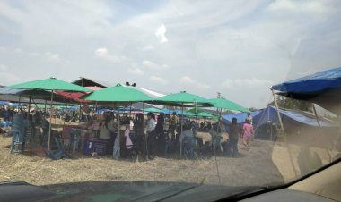 สุดอหังการ์ ! ขึ้นป้ายอ้าง soft power แต่แฝงพนันบุญบั้งไฟ