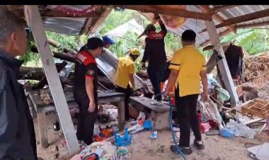 สุดสลด!พายุหมุนพัดต้นประดู่ยักโค่นทับเด้ก 3 ขวบดับรับวันเกิด