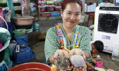 นิยมกิน รสชาติอร่อย อึ่งฝนแรกแห่งปี ไข่เต็มท้องราคากก.ละ 400 บาท