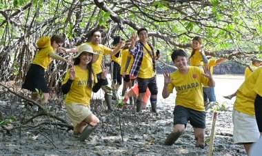 “ไอยราแพลนเน็ต” นำนักธุรกิจไอยราปลูกป่าชายเลน ณ คลองโคน