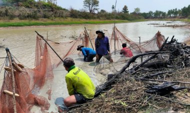 ส่องชีวิตคน"กองเยาะ" ลงแขกจับปลากินแบบวิถีคนลุ่มน้ำห้วยกุดกุง ยโสธร